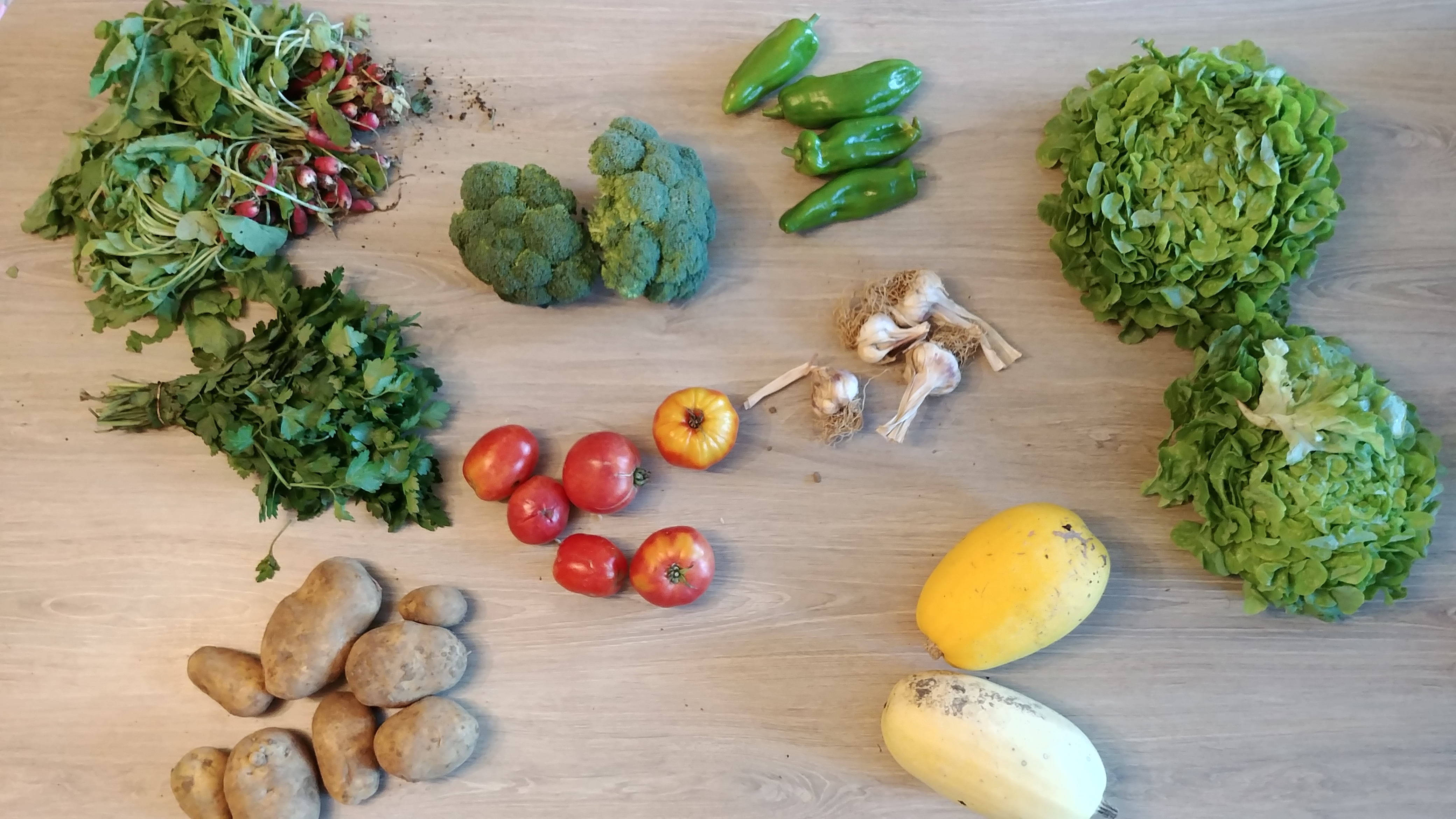 Légumes – 2017 – Octobre – 1er panier