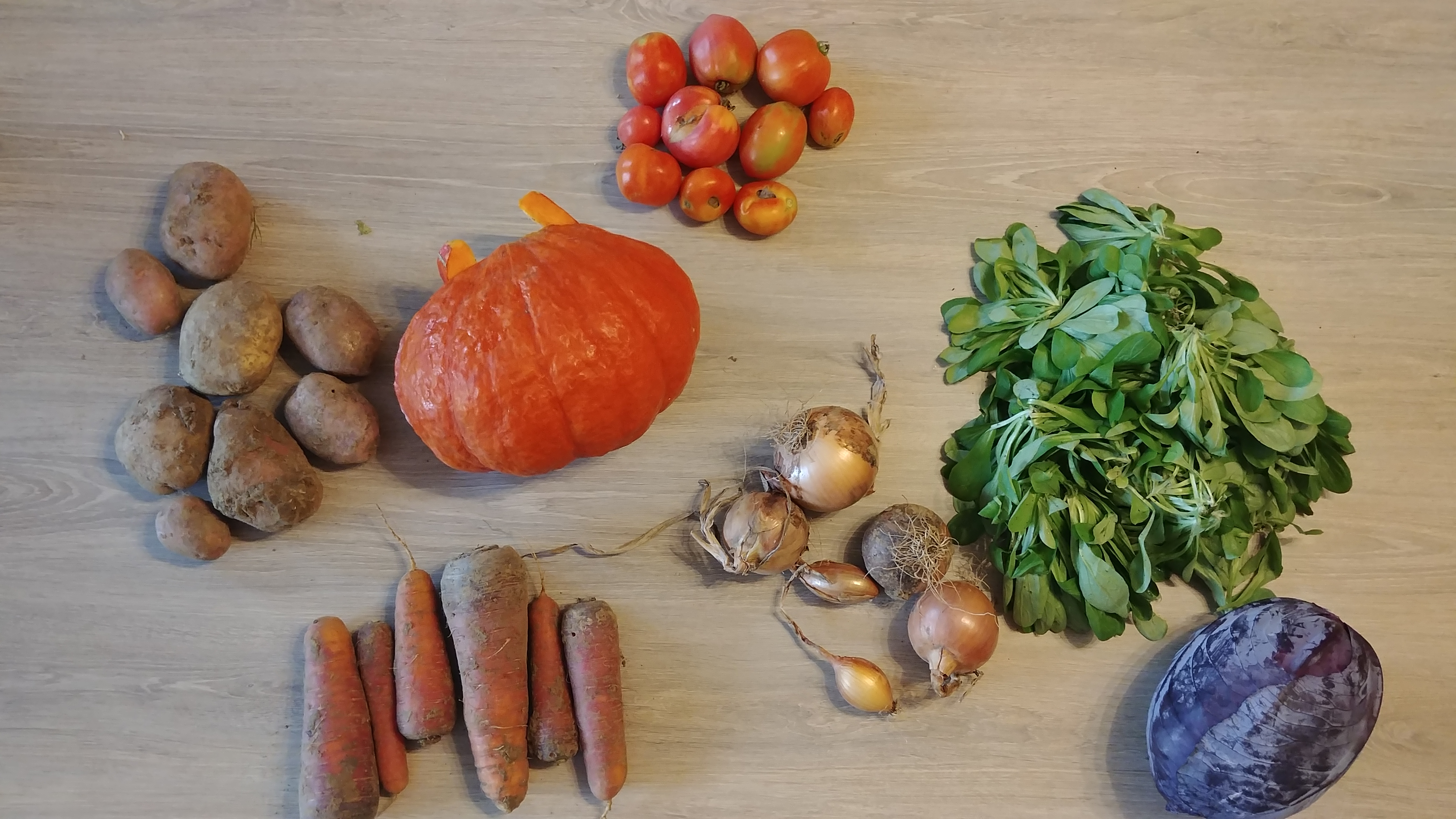 Légumes – 2017 – Octobre – 3ème panier