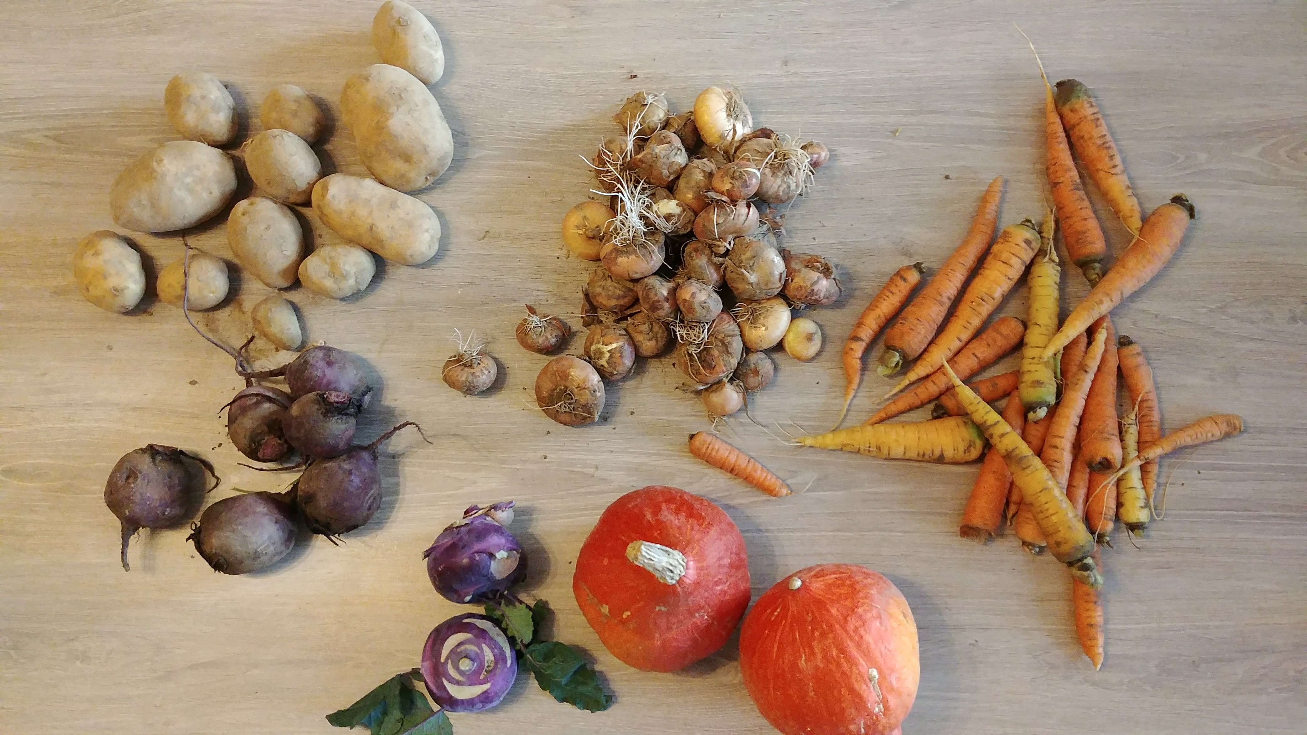 Légumes – 2017 – Novembre – 5ème panier