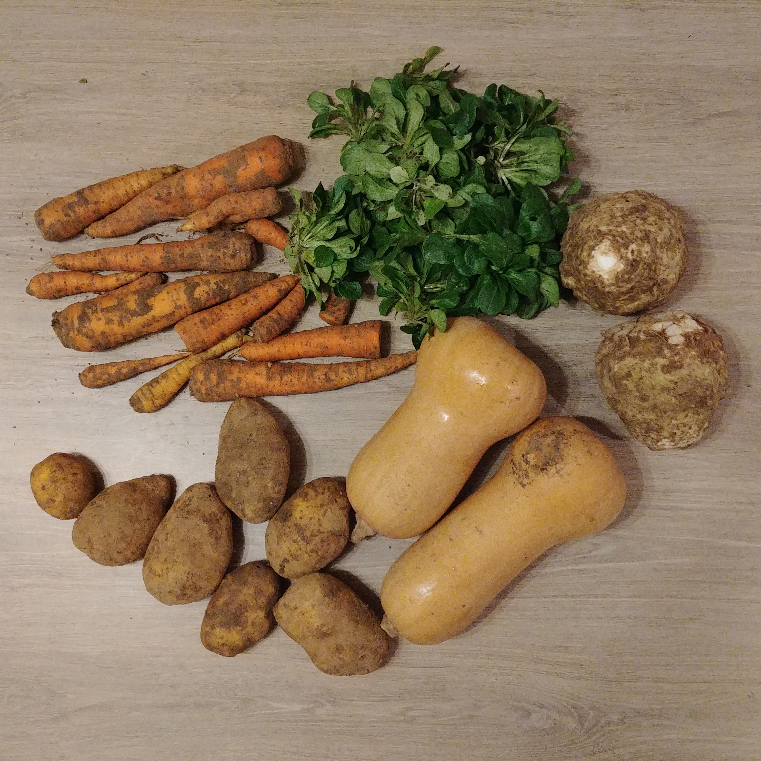 Légumes – 2018 – Janvier – 5ème panier