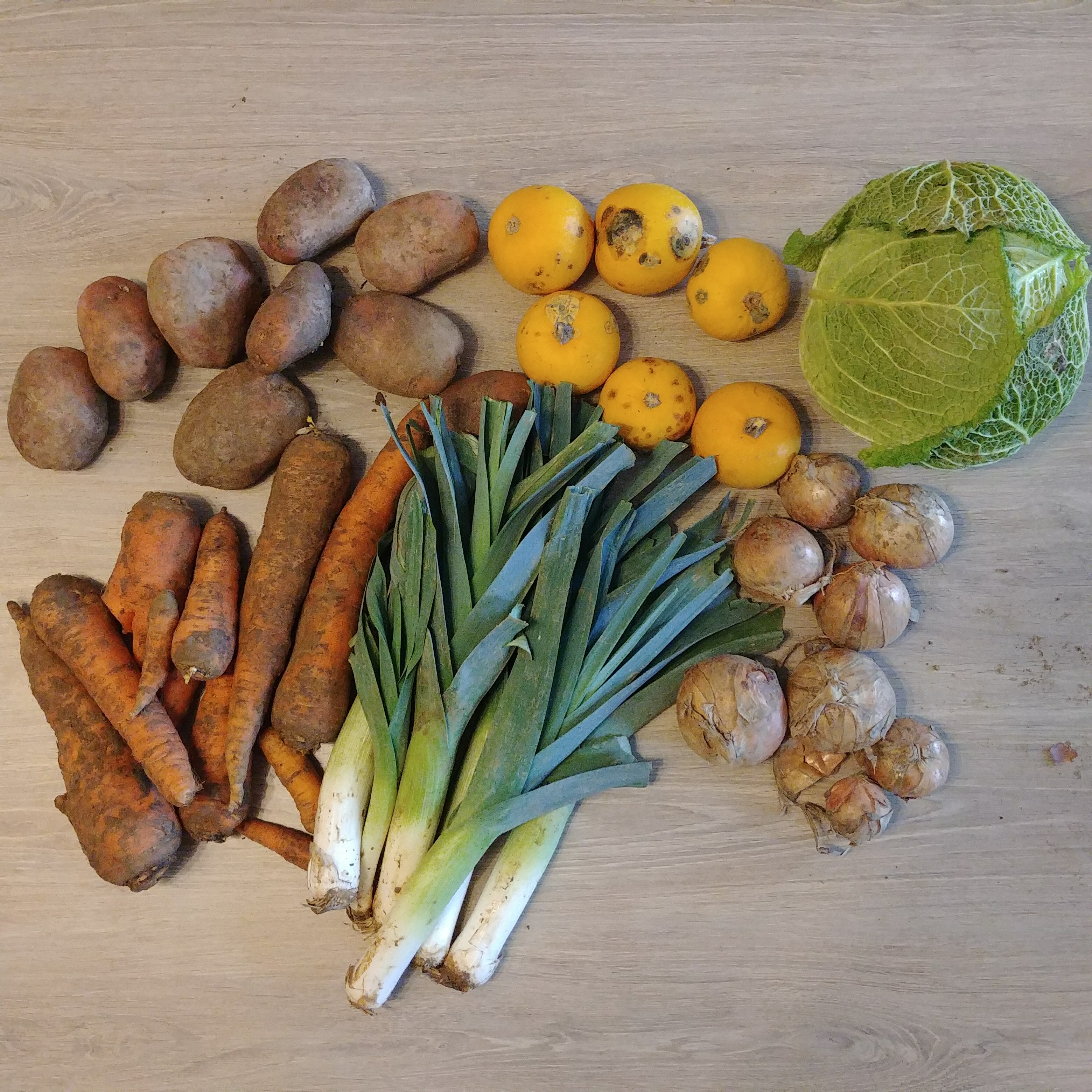 Légumes – 2018 – Février – 3ème panier